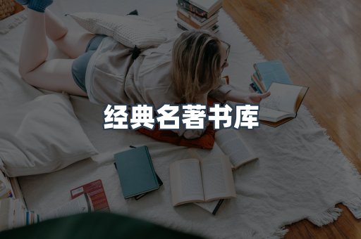 外文电子书系列